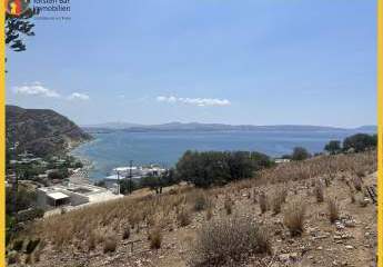 461211-Vorschaubild4