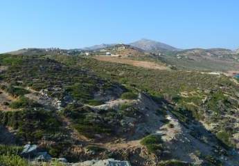 461272-Vorschaubild3