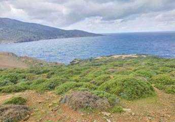 461272-Vorschaubild4