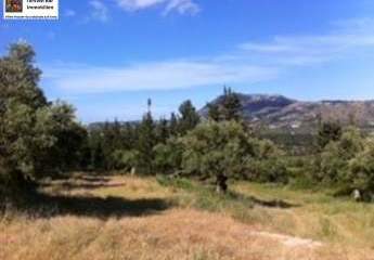 Kreta, Doulina-Kalyves einzigartiges Baugrundstück mit Wald