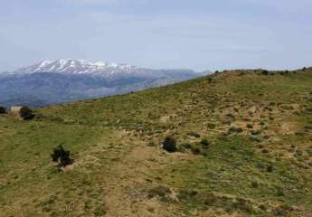 461278-Vorschaubild4