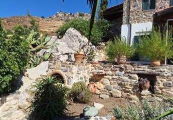 461285-Vorschaubild2