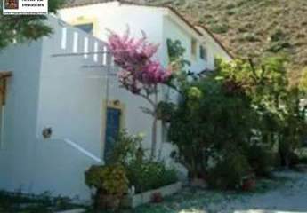 461926-Vorschaubild3