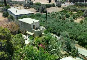 452852-Vorschaubild4