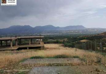 454495-Vorschaubild2