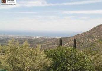 463120-Vorschaubild3