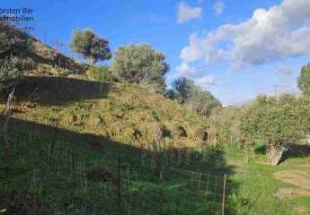 461019-Vorschaubild4