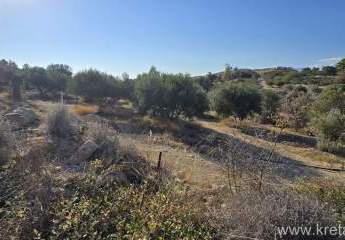 415388-Vorschaubild3