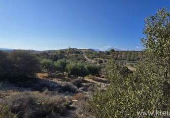 415388-Vorschaubild4