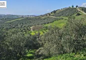 461039-Vorschaubild4