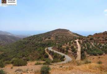 Kreta, Pefki - Makry Gialos Großes Grundstück mit Meerblick zu verkaufen!