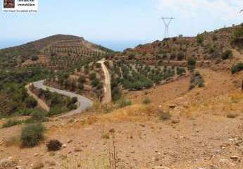 461085-Vorschaubild4