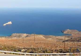 461098-Vorschaubild2