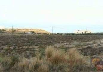 461099-Vorschaubild4