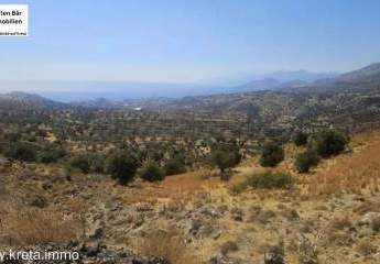 Kreta, Sakturia Grundstück 20.000m² zu verkaufen