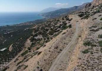 450940-Vorschaubild3