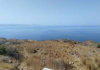 461108-Vorschaubild2