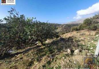 Süd Kreta, Agia Galini 5.000 m² mit Meerblick