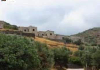 461136-Vorschaubild4