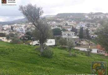 461142-Vorschaubild3