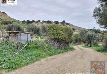 461145-Vorschaubild4