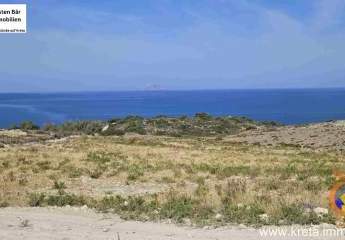 461167-Vorschaubild4