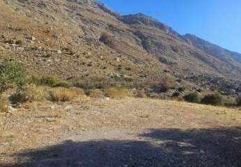 461324-Vorschaubild4