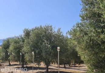 461187-Vorschaubild4