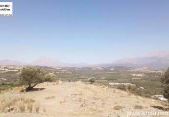 462825-Vorschaubild3