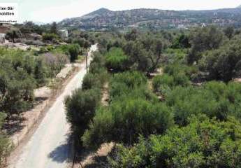 461250-Vorschaubild4