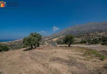 461255-Vorschaubild4