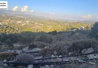 Kreta, Kamilari Grundstück 2.800m² in ruhiger Lage zu verkaufen