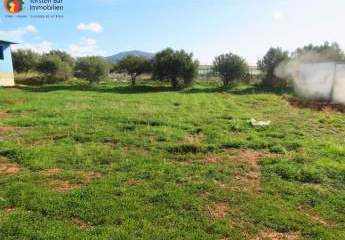 461261-Vorschaubild3