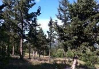 461273-Vorschaubild2