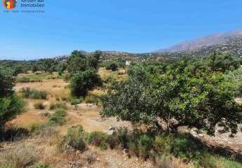 Kreta, Agia Galini - Grundstück 4700m² bebaubar