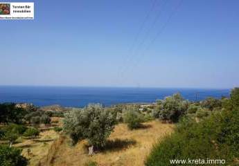 458722-Vorschaubild2