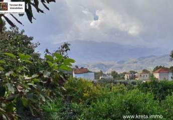 463142-Vorschaubild3