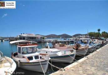 461030-Vorschaubild4