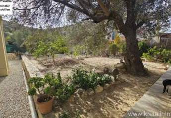 461059-Vorschaubild4