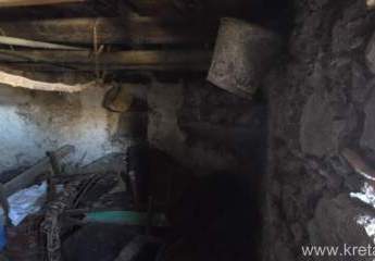 459099-Vorschaubild3