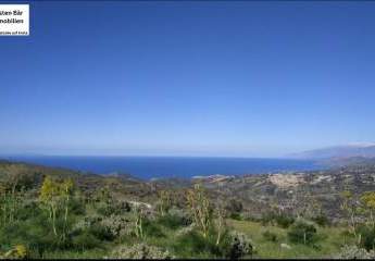 461097-Vorschaubild2