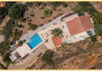 461113-Vorschaubild4