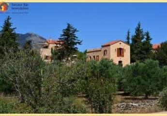 461114-Vorschaubild2