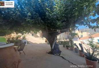 461121-Vorschaubild4