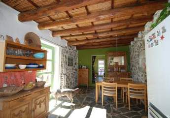 458813-Vorschaubild3