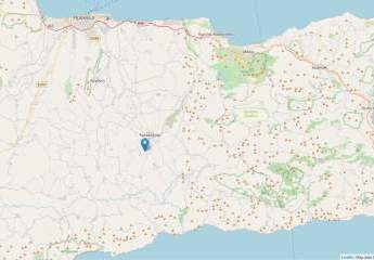 461228-Vorschaubild4