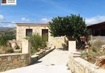 461245-Vorschaubild3