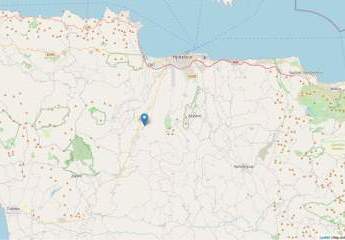 461205-Vorschaubild4