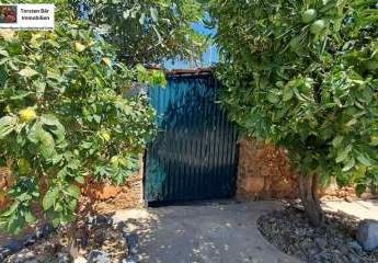 461199-Vorschaubild3