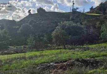 461019-Vorschaubild2